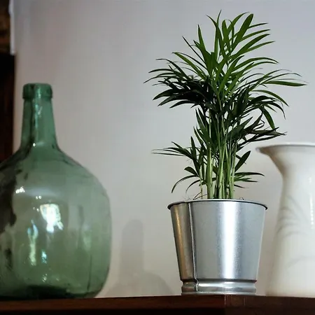 El 31 De Apartment Bilbao