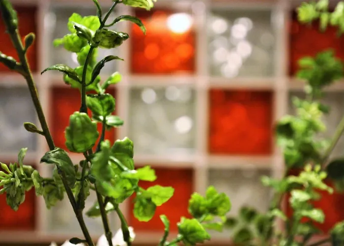 Apartamento El 31 De *