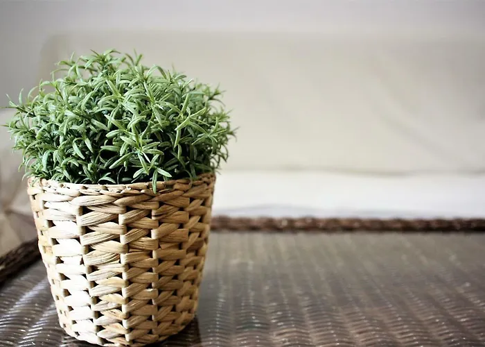 Apartamento El 31 De Bilbao