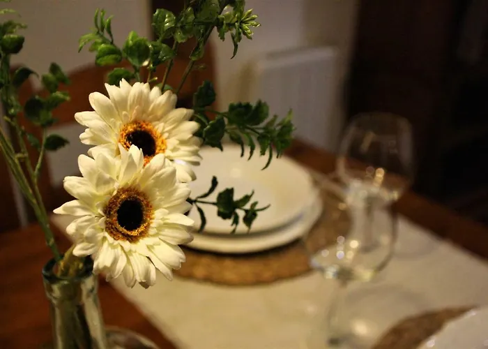 Apartamento El 31 De *